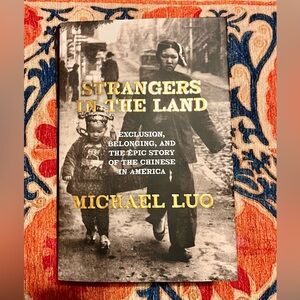 Strangers in the Land Michael Luo hardcover book